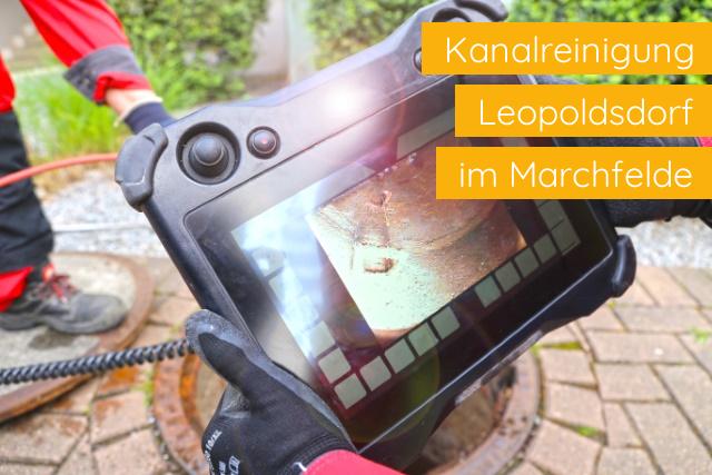 Kanalreinigung Leopoldsdorf im Marchfelde
