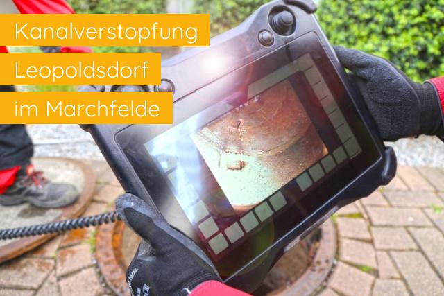 Kanalverstopfung Leopoldsdorf im Marchfelde