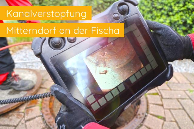 Kanalverstopfung Mitterndorf an der Fischa