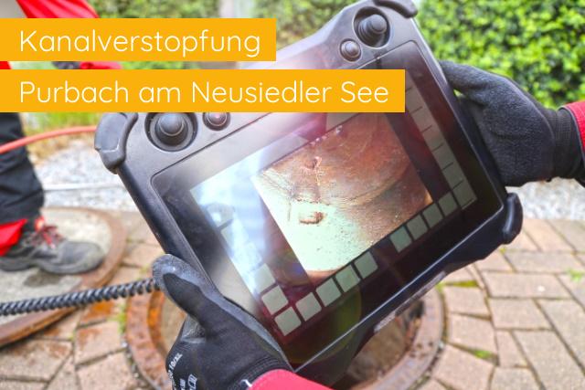 Kanalverstopfung Purbach am Neusiedler See