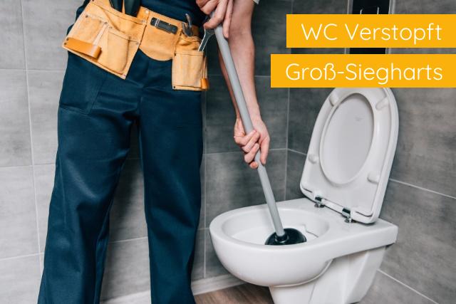 WC Verstopft Groß-Siegharts