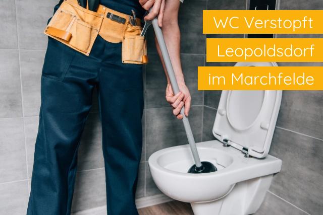 WC Verstopft Leopoldsdorf im Marchfelde