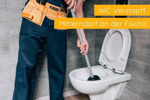 WC Verstopft Mitterndorf an der Fischa